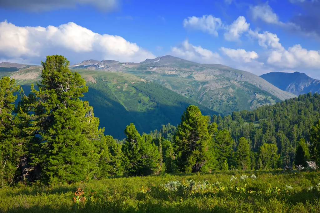 How to get to Skhidnytsia from Lviv and Truskavets1